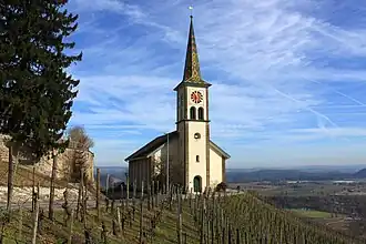 Photographie couleur d'une église dans un vignoble
