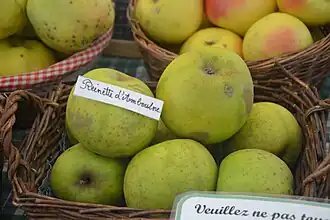 Reinette d'amboulne.