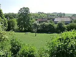Vue sur une pâture et sur le paysage de bocage et de vallée, mai 2011.