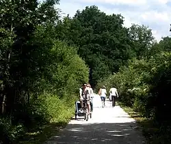 Cycliste avec remorque.