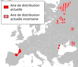 Carte de l'Europe avec les aires de répartition du Vison d'Europe.