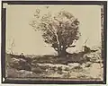 Photographie d'un tableau (arbre dans la campgane), vers 1850.
