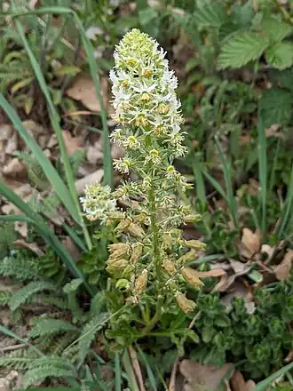 Description de cette image, également commentée ci-après