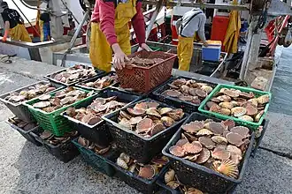 Retour de pêche à La Rochelle.