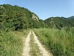 Chemin longeant la Loire au Chambonnet.