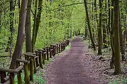 Forêt de Bielański.