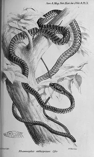 Description de cette image, également commentée ci-après