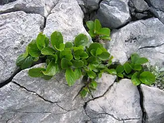 Description de cette image, également commentée ci-après
