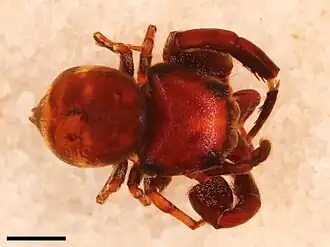 Description de cette image, également commentée ci-après