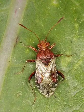 Description de cette image, également commentée ci-après