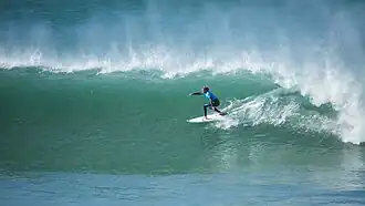 Image illustrative de l’article Ricardo Christie