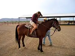 Une jeune femme en short et portant des lunettes de soleil tente de mettre son étrier sur un petit cheval bai.