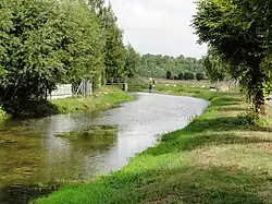 L'Aroffe (Ruisseau de la Baumelle).