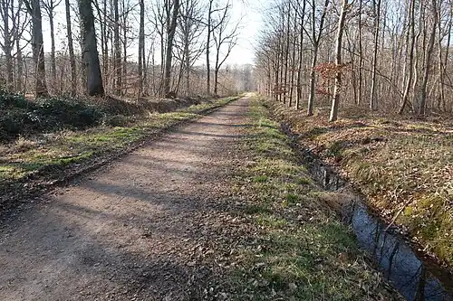 Allée et rigole sur la droite.