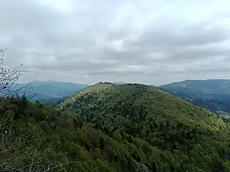 Le Rimbachkopf depuis la tête des Perches à l'ouest.
