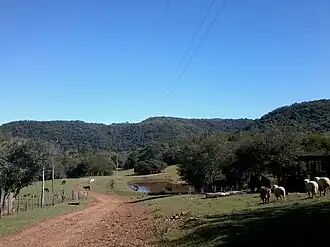 São Francisco de Assis (Rio Grande do Sul)