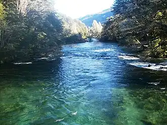 Le río Manso en son cours supérieur, près du lac Los Moscos.