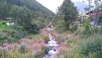 Rio Senales (Madonna di Senales).