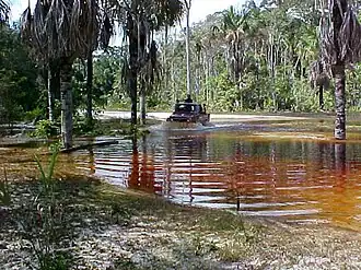 Maroa (municipalité)