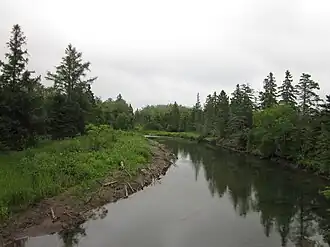 Un chenal avec ses rives boisées.