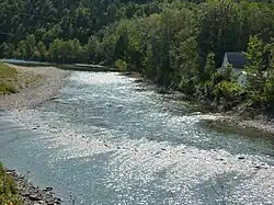 Une rivière sur un lit de gravier entourée de forêts