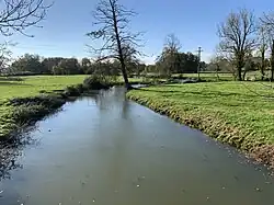 La rivière Menthon entre deux prés, derrière lesquels se trouvent quelques arbres.