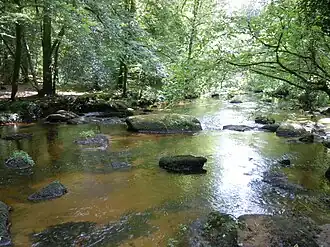 Image illustrative de l’article Forêt de Pontcallec