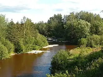 Image illustrative de l’article Rivière Ticouapé