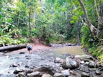 Image illustrative de l’article Rivière du Fort