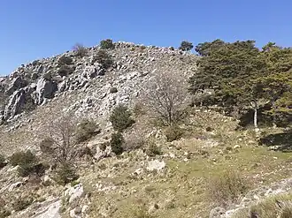 Vue du versant oriental du roc d'Orméa depuis le col du Berceau.