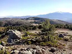 Paysage sur le plateau granitique au-dessus de Mosset (autour du roc des Quarante Croix).