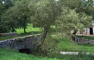 Début XXIe&nbsp;siècle.