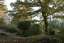 Chiron de la Morelière (Chaos granitique dans le Bressuirais).