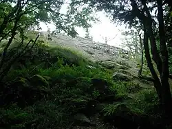 Rocher de Rathsamhausen.