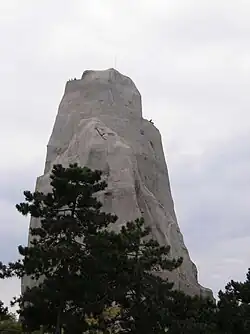 Le grand rocher au parc zoologique de Paris (zoo de Vincennes).