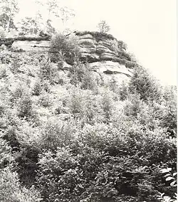 Site néolithique : les Roches du Mulot à Bleurville.