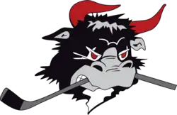 Description de l'image Rodovre-mighty-bulls-logo.png.