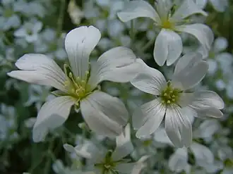Description de cette image, également commentée ci-après