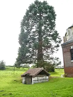 Puits du patrimoine, près de l'église.