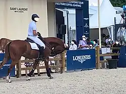 Cheval forcé par son harnachement à galoper avec la tête très basse, sur la carrière de détente d'une compétition officielle.