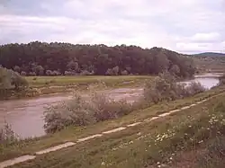 photographie d'un cours d'eau