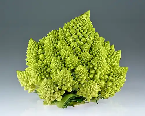 Chou Romanesco.