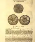 Chapitre sur les oursins réguliers de l'Histoire des poissons de Guillaume Rondelet (1554)