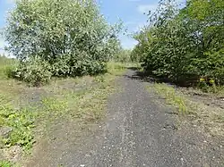 Le terril no&nbsp;138.