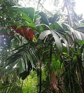 Description de cette image, également commentée ci-après