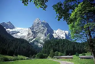 Vue du glacier de Rosenlaui (à gauche) et du Wellhorn (au centre) depuis le nord.