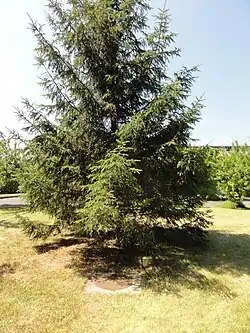 Le puits no&nbsp;1 dans son environnement.