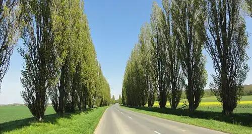 La rue Camille-Rogez.