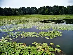 Parc urbain national de la Rouge