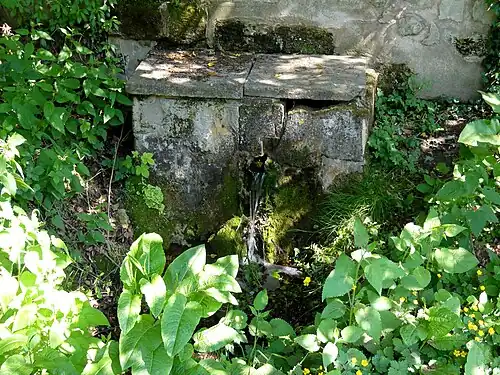 Source, rue de Clermont.